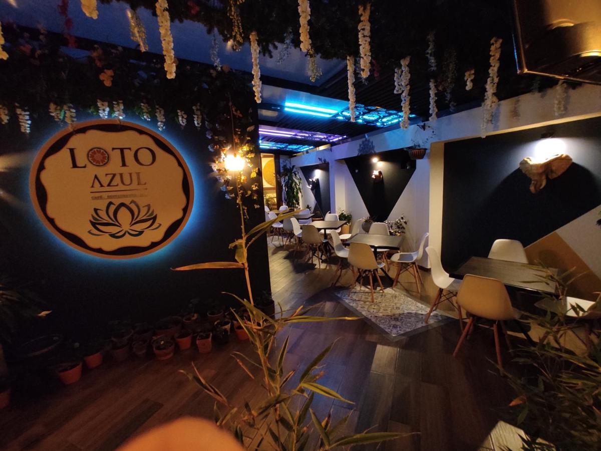 Hotel Vymar And Loto Azul 2*
